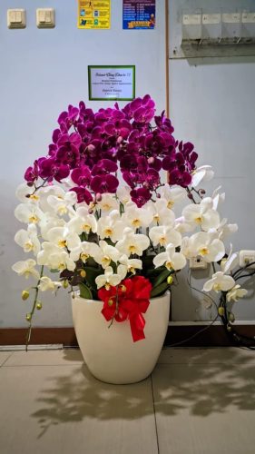 IMG-20250604-WA0015